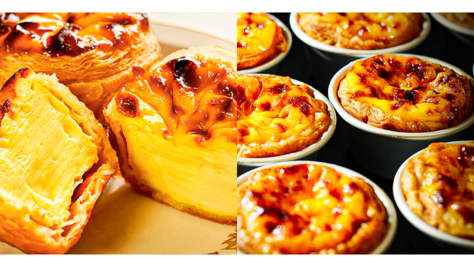 2 - Official ASIA Records