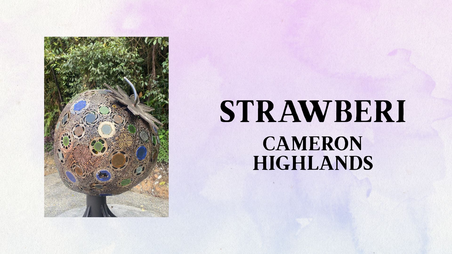 38 - Official ASIA Records