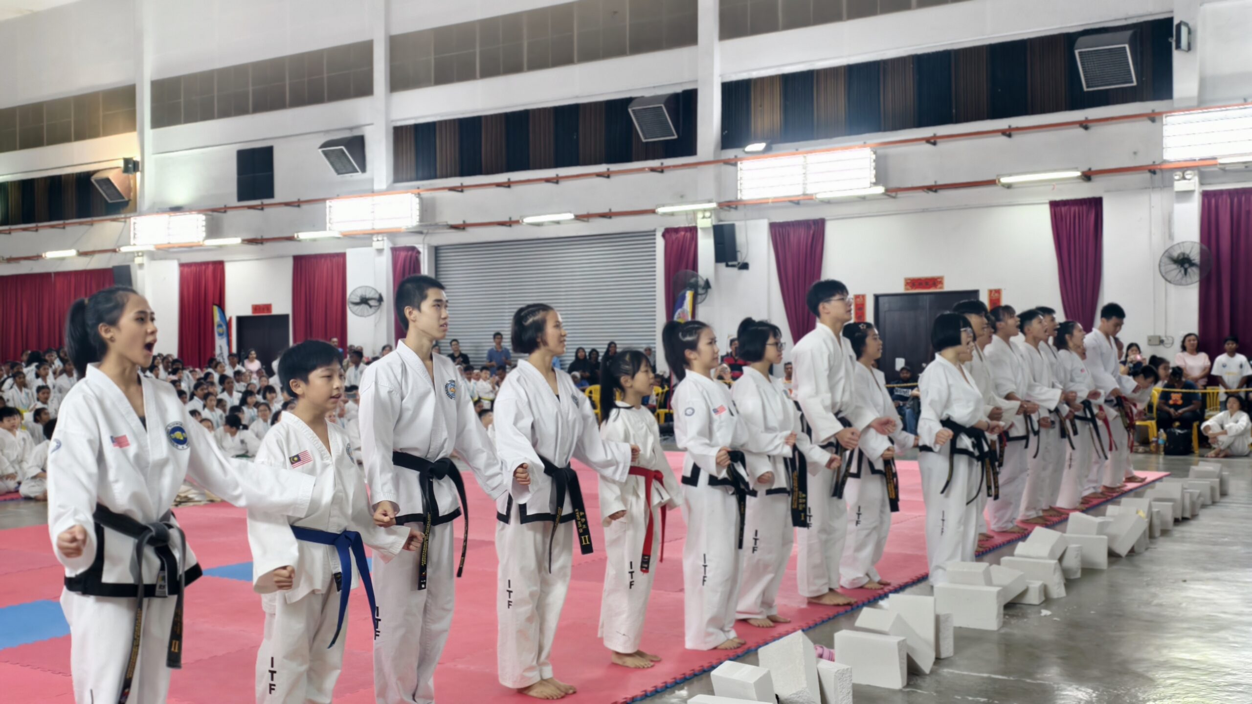 ASEAN Records Kelab Taekwondo 48 - Official ASIA Records